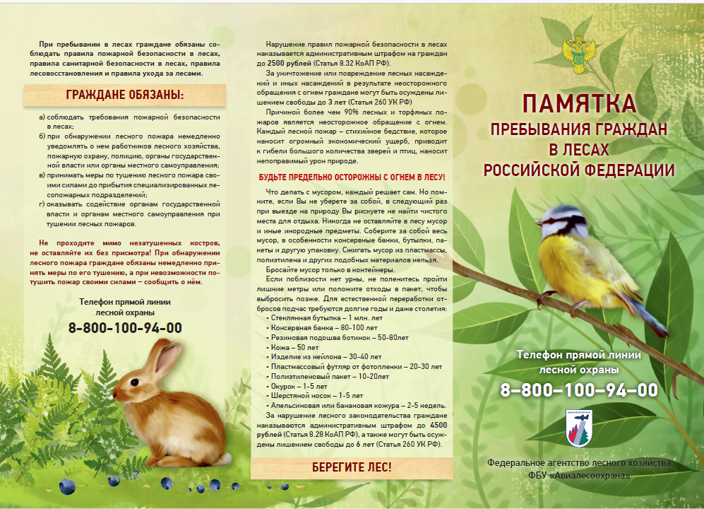Открыть оригинальное изображение
